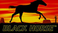 Black Horse