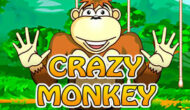 Crazy Monkey