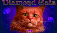 Diamond Cats